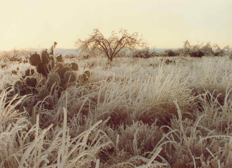 photograph by Russell Holder