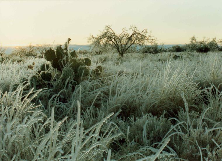 photograph by Russell Holder