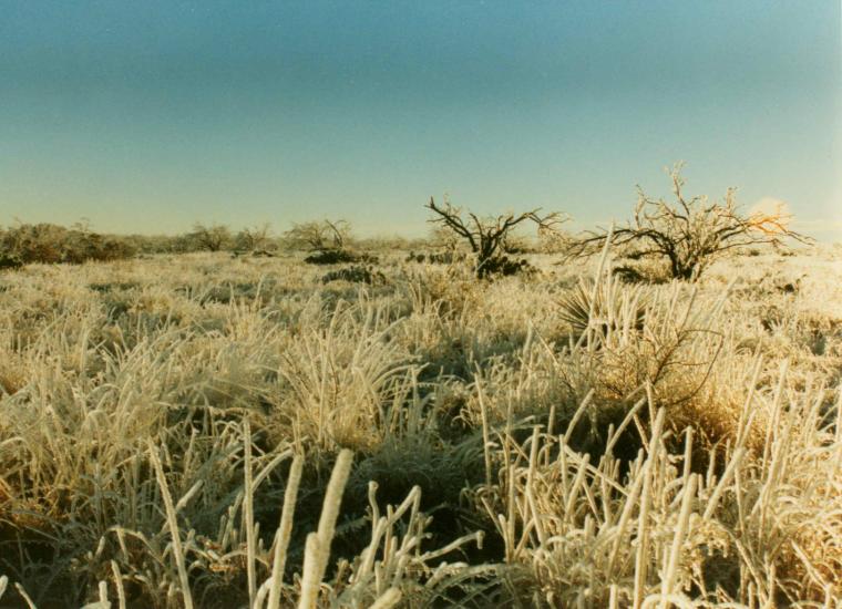 photograph by Russell Holder