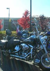 Lets Ride and Shop - 15NOV08 Lets Ride and Shop - 15NOV08