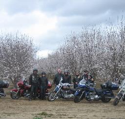 11MAR12: Almond Festival... photograph by Russell Holder