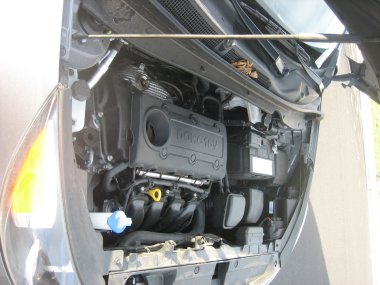 photograph by Russell Holder