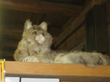 photograph by Russell Holder