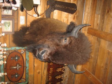 photograph by Russell Holder