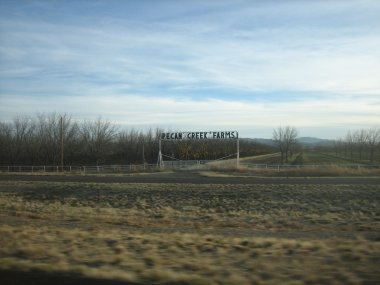 photograph by Russell Holder