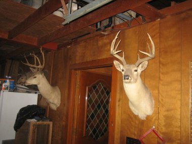 photograph by Russell Holder