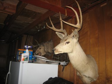 photograph by Russell Holder