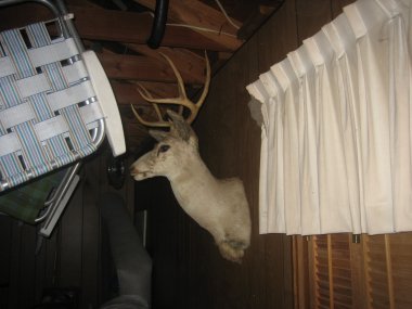 photograph by Russell Holder