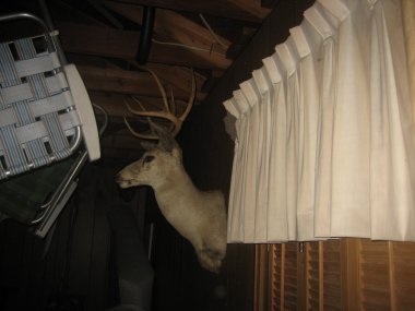 photograph by Russell Holder