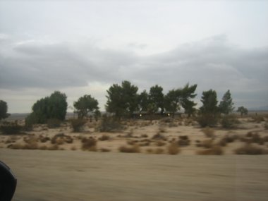 photograph by Russell Holder