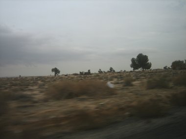 photograph by Russell Holder