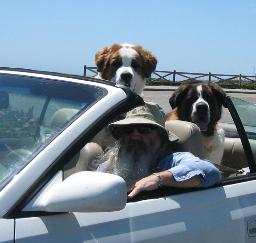 Mother's Day eve in Santa Cruz with the puppies - 10MAY14