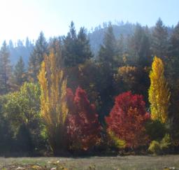 Fall Road Trip to Grants Pass - 27,28,29OCT17