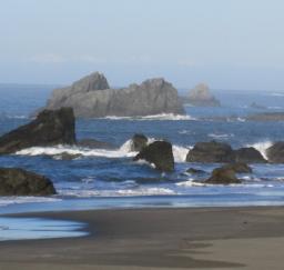 Road Trip: Brookings, Oregon - 22-24NOV19