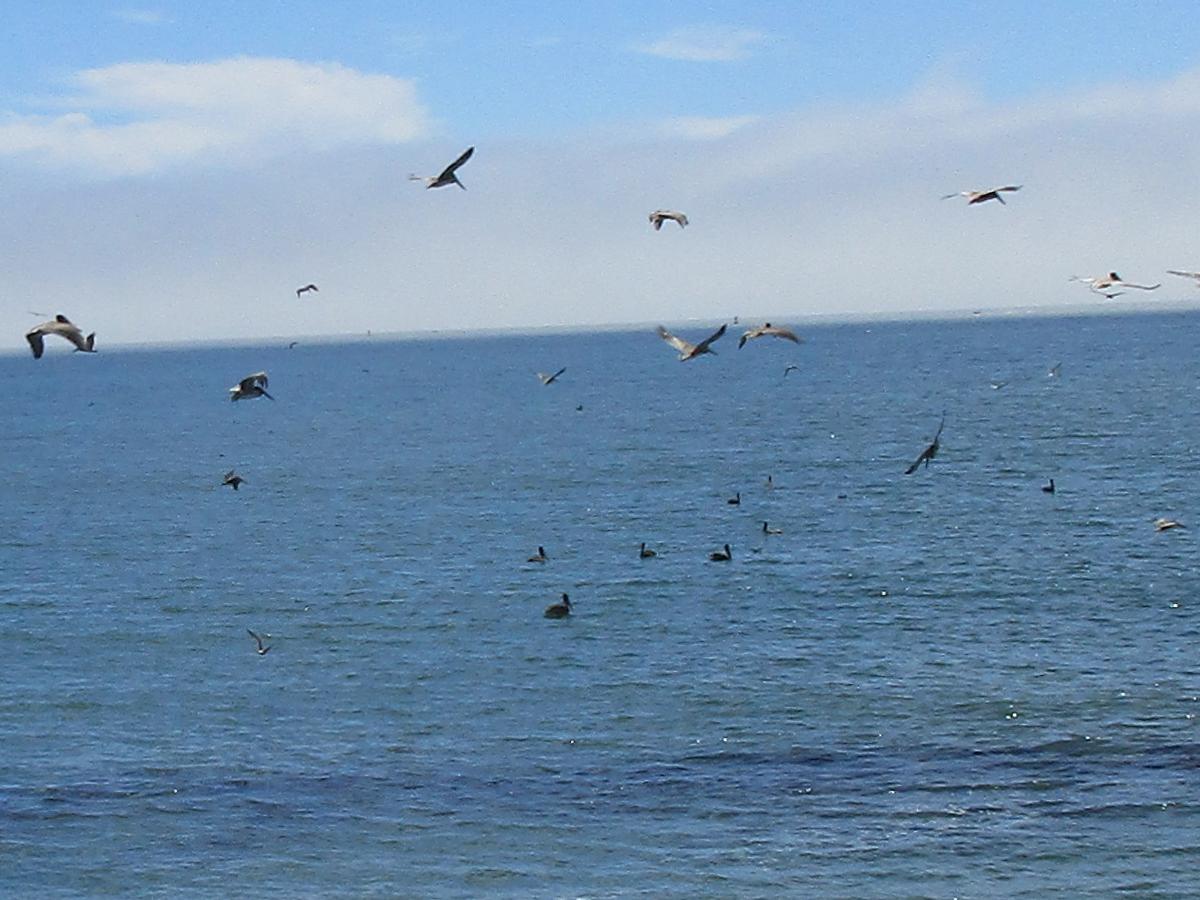 Road Trip: PCH - 10JUL20